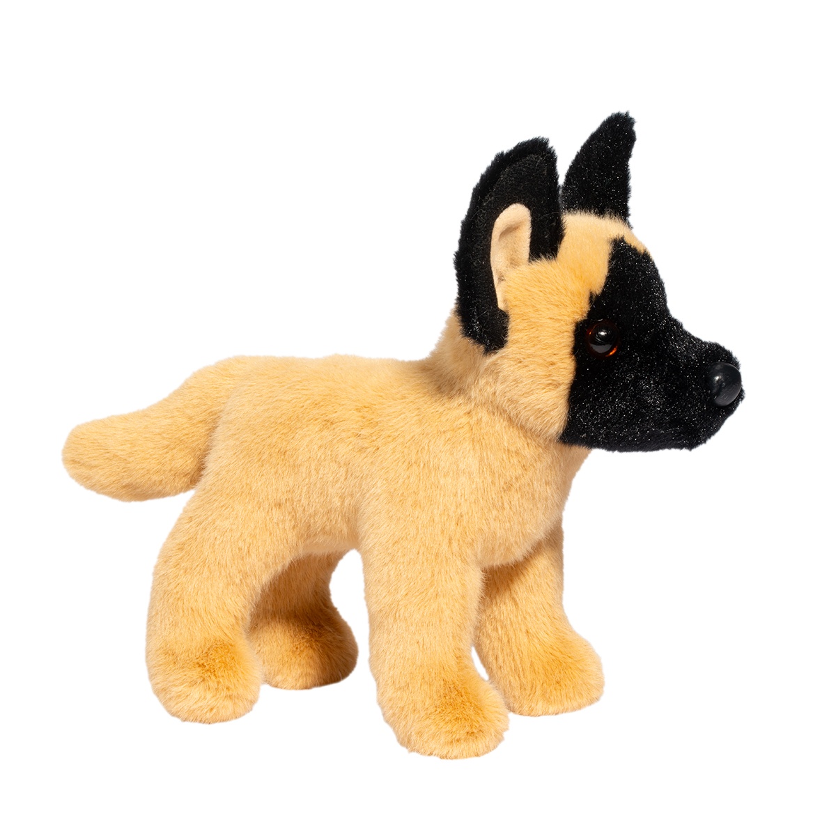 15897BelgianMalinousAZ-6.jpg Brent Belgian Malinois - Image 1