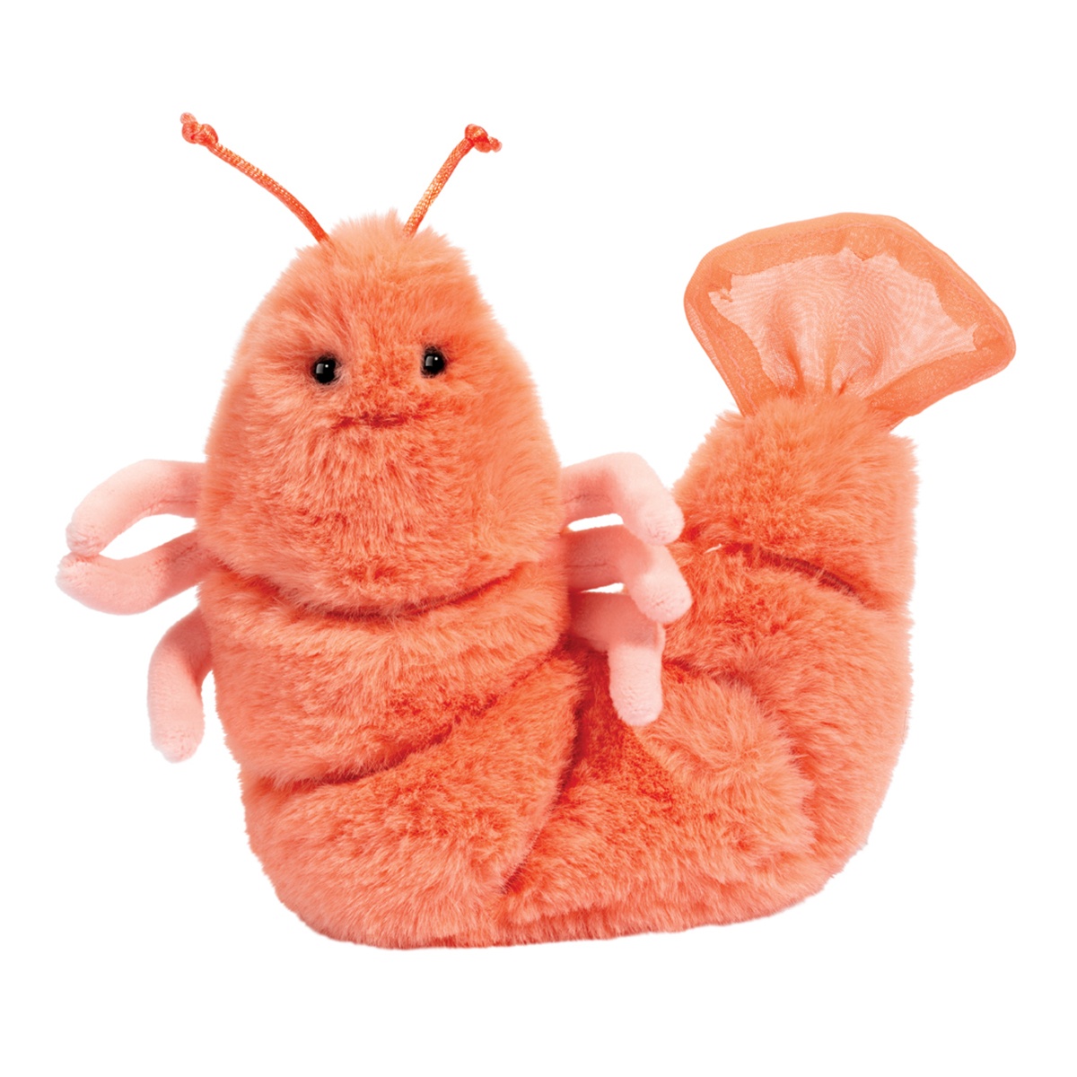 1675.jpg Salty Shrimp - Image 1