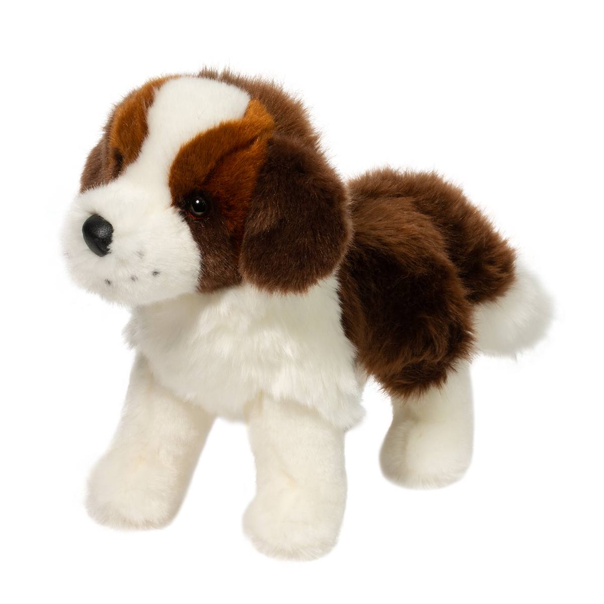 1705-1.jpg Brutus St. Bernard - Image 1