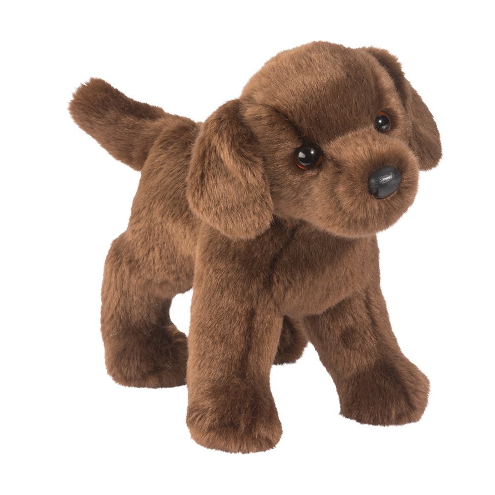 1729.jpg Tucker Chocolate Lab - Image 1