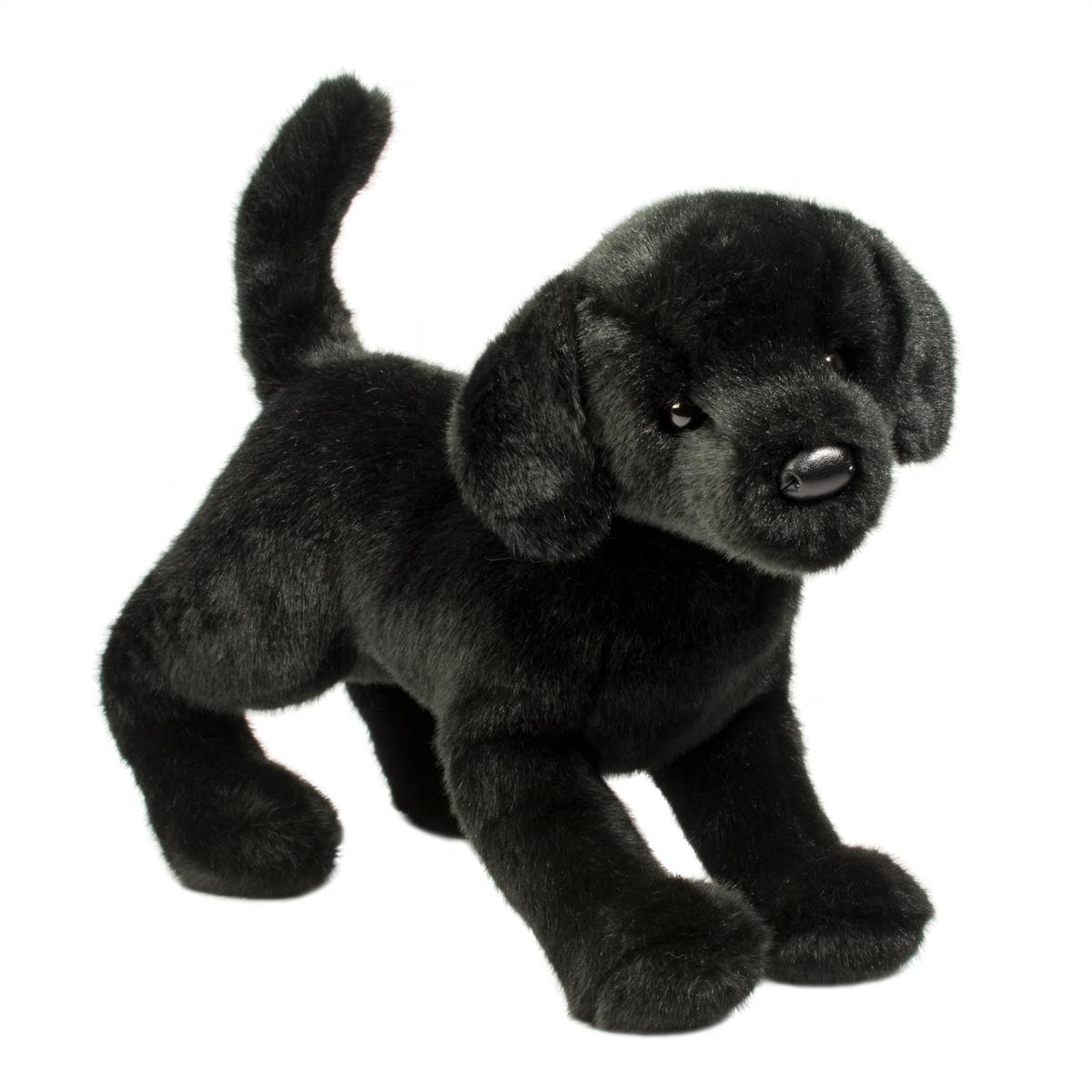 1805-1.jpg Chester Black Lab - Image 1