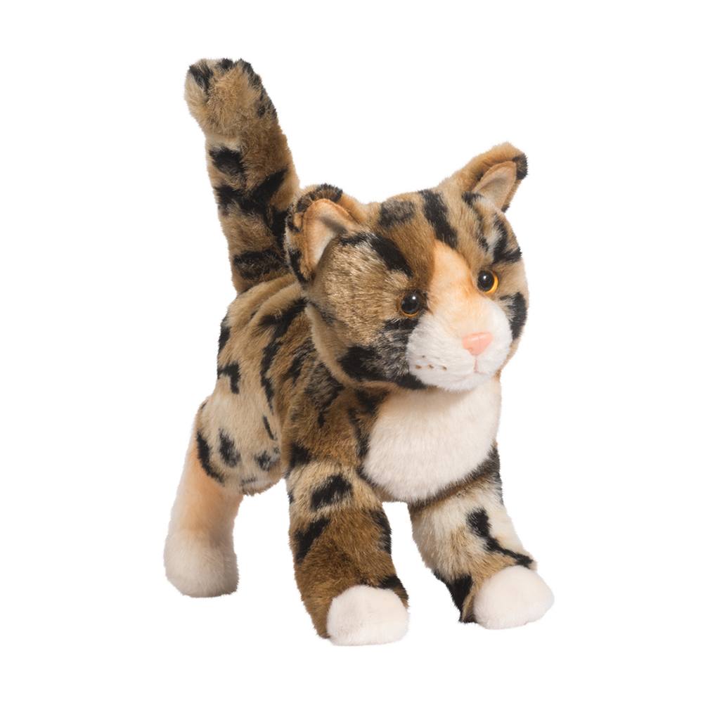 1862.jpg Tashette Bengal Cat - Image 1
