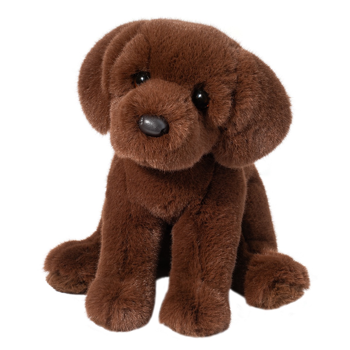 1916-1.jpg Zoom Chocolate Lab - Image 1