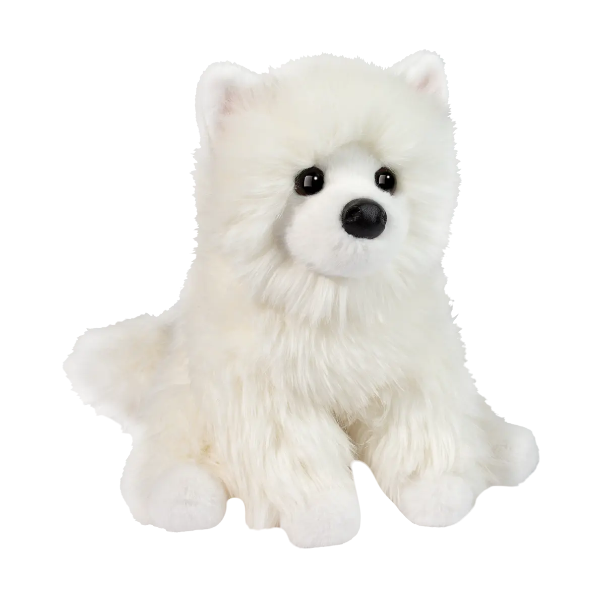 1922.webp Opo White Pomeranian - Image 1