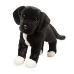 Twister Black Lab/Pit Bull Mix