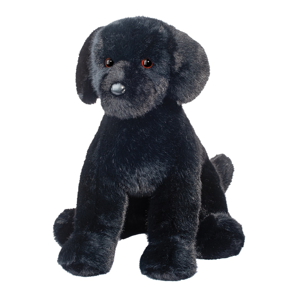 2463.jpg Spruce Dog - Image 1