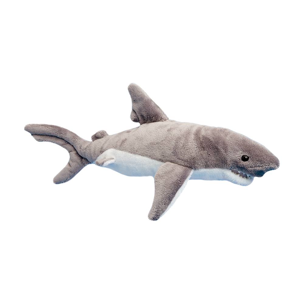 3808.jpg Smiley Shark - Image 1