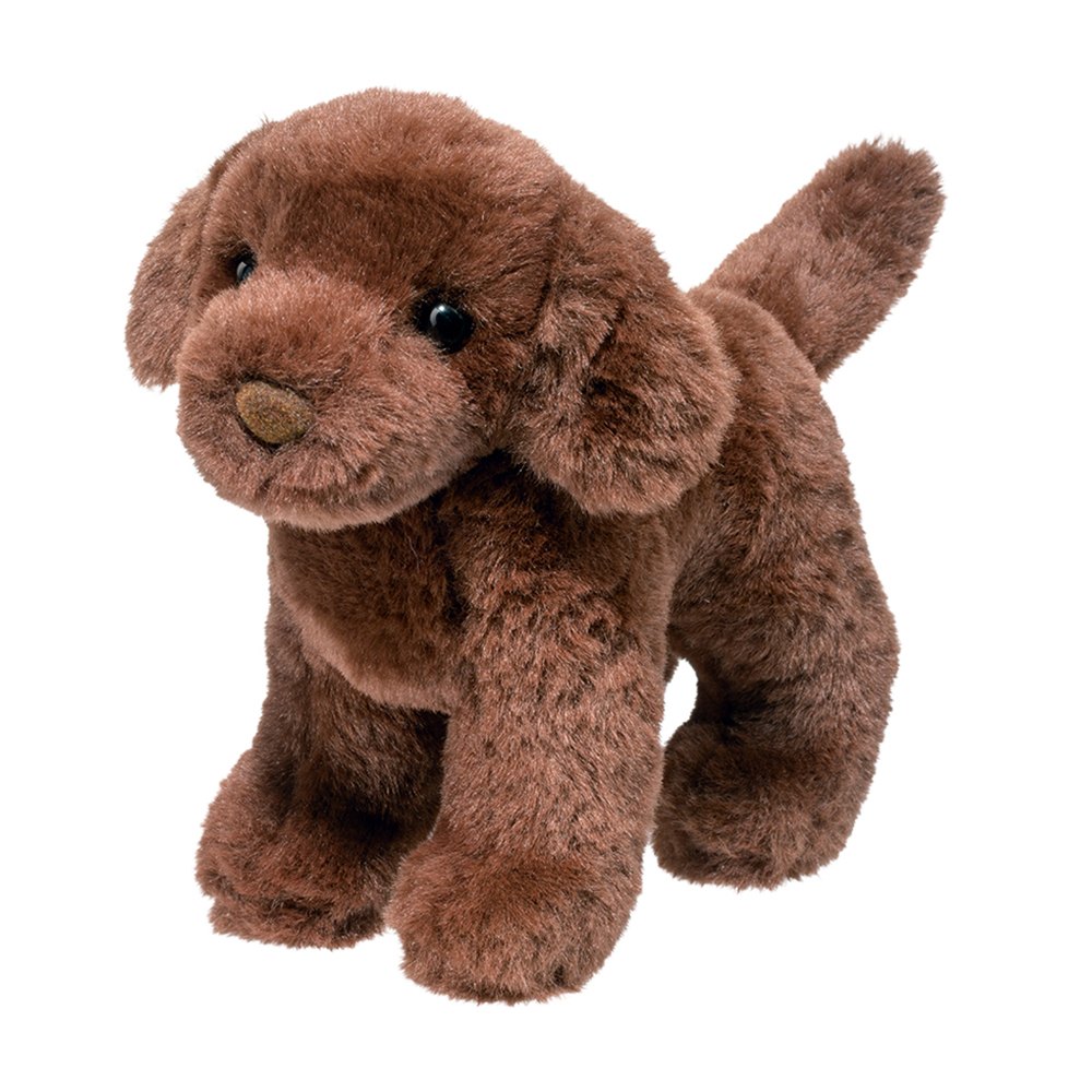 3995.jpg Sylvia Chocolate Lab - Image 1