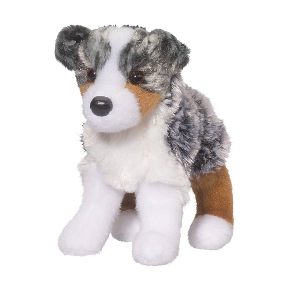 4019.jpg Steward Australian Shepherd - Image 1