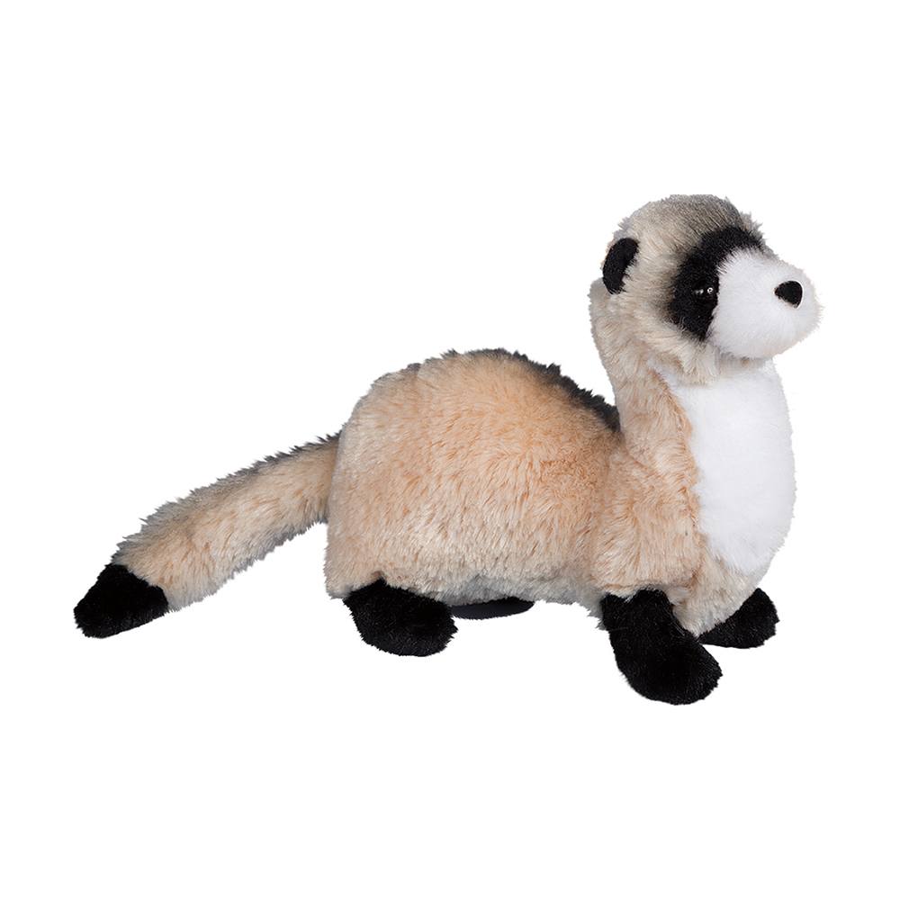 4039.jpg Dapper Ferret - Image 1