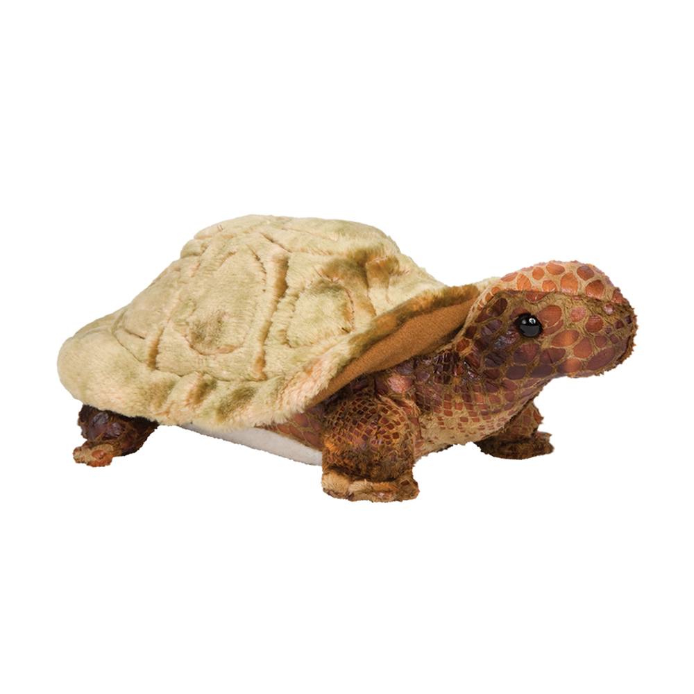 4051.jpg Speedy Tortoise - Image 1