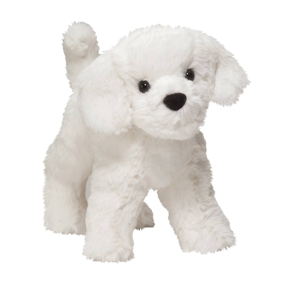 4078.jpg Dandelion Puff Bichon - Image 1